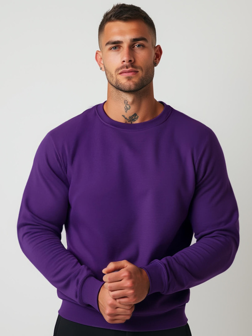 Men's Sweatshirt - Violet OZONEE JS/2001-10Z